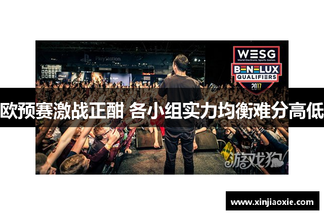 欧预赛激战正酣 各小组实力均衡难分高低