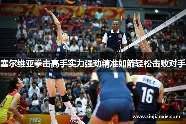 塞尔维亚拳击高手实力强劲精准如箭轻松击败对手