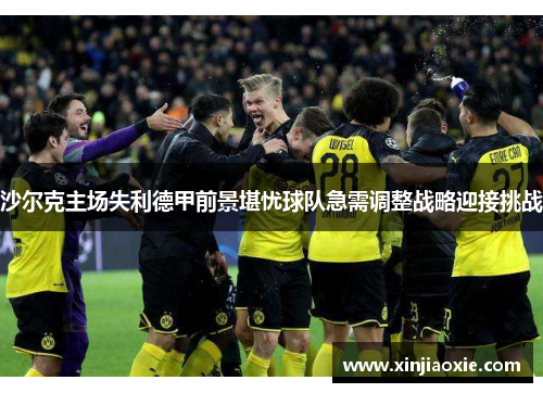 沙尔克主场失利德甲前景堪忧球队急需调整战略迎接挑战
