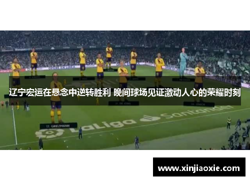 辽宁宏运在悬念中逆转胜利 晚间球场见证激动人心的荣耀时刻