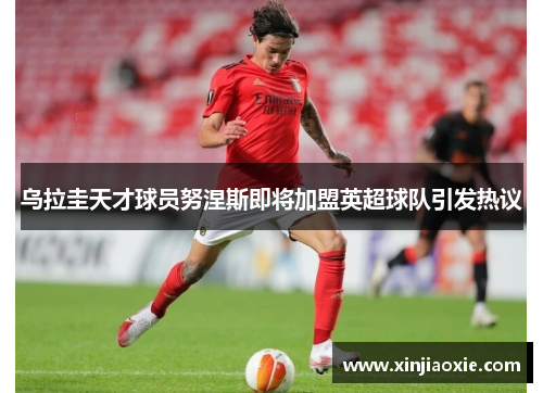 乌拉圭天才球员努涅斯即将加盟英超球队引发热议
