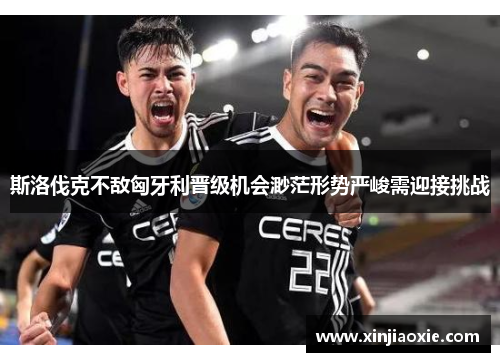 斯洛伐克不敌匈牙利晋级机会渺茫形势严峻需迎接挑战