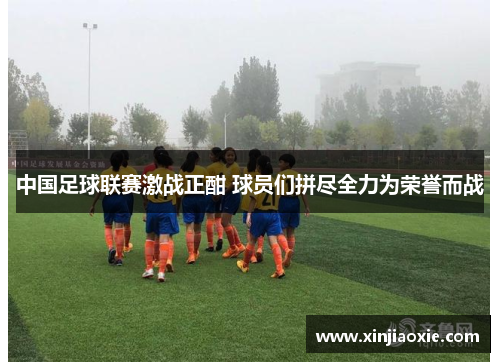 中国足球联赛激战正酣 球员们拼尽全力为荣誉而战