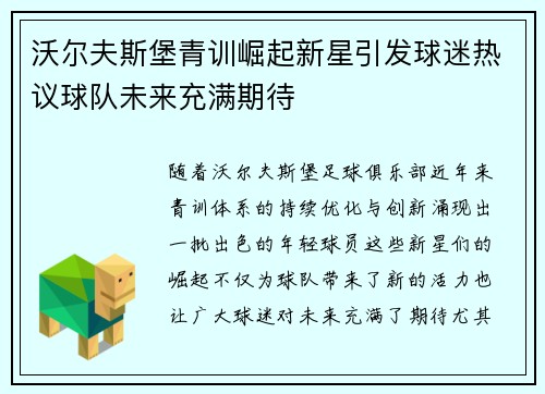 沃尔夫斯堡青训崛起新星引发球迷热议球队未来充满期待