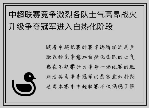 中超联赛竞争激烈各队士气高昂战火升级争夺冠军进入白热化阶段