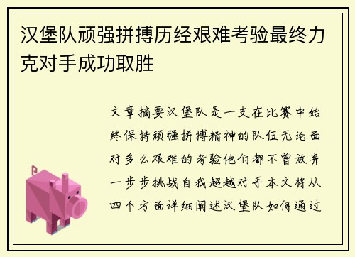 汉堡队顽强拼搏历经艰难考验最终力克对手成功取胜