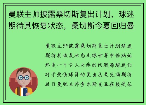 曼联主帅披露桑切斯复出计划，球迷期待其恢复状态，桑切斯今夏回归曼联
