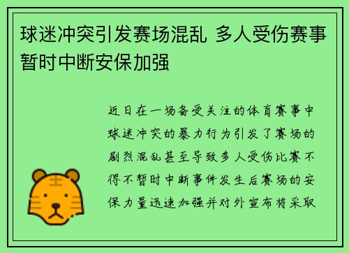 球迷冲突引发赛场混乱 多人受伤赛事暂时中断安保加强